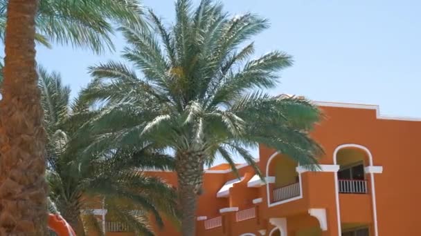 Grüne Kokospalmen Wehen Wind Tropischen Strand Vor Blauem Himmel Und — Stockvideo