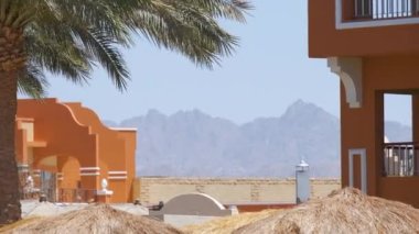 Yeşil hindistan cevizi palmiyeleri rüzgarda sallanıyor tropikal sahilde mavi gökyüzüne ve otel binalarına karşı. Yaz tatili kavramı.