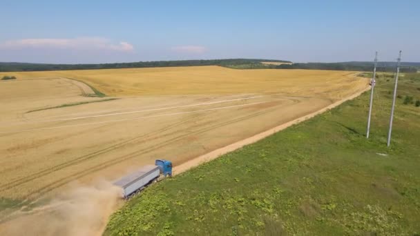 Aerial View Cargo Truck Driving Dirt Road Agricultural Wheat Fields — Wideo stockowe