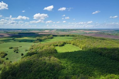 Yazın sık ağaçlarla kaplı koyu yeşil yemyeşil orman manzarası.