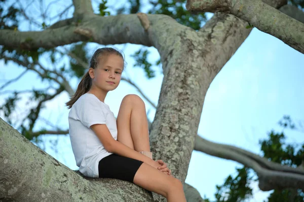 Молода Гарненька Дівчинка Сидить Розслаблено Між Великими Гілками Старого Дерева — стокове фото