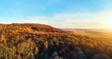 Sonbahar dağ ormanlarında günbatımında yeşil ve sarı ağaçlarla kaplı koyu çam ve yemyeşil ormanlarla kaplı tepelerin havadan görünüşü. Güzel sonbahar akşam manzarası.