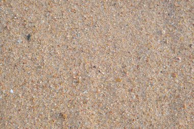 Sahil şeridini kaplayan temiz sarı kum yüzeyi. Kum dokusu.