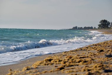 Kıyıya vuran köpüklü dalgalarla sahil kıyısı..