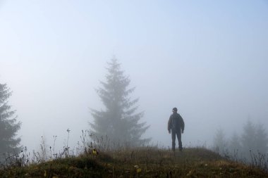 Yalnız yürüyüşçünün küçük bir figürü sisli sonbahar gününde vahşi orman patikasında eğleniyor..