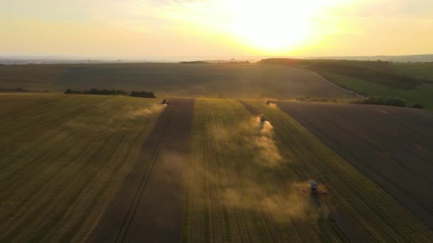 Aerial View Combine Harvesters Working Harvesting Season Large Ripe Wheat — Αρχείο Βίντεο