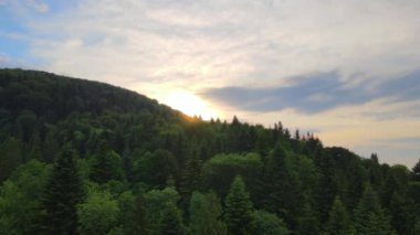 Gün batımında dağ tepelerini kaplayan koyu ladin ağaçlı yeşil çam ormanlarının hava manzarası. Yukarıdan orman manzarası yok.