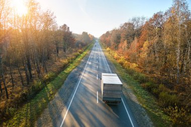 Kargo kamyonunun otobanda mal taşırken hava görüntüsü. Teslimat ulaşım ve lojistik kavramı.