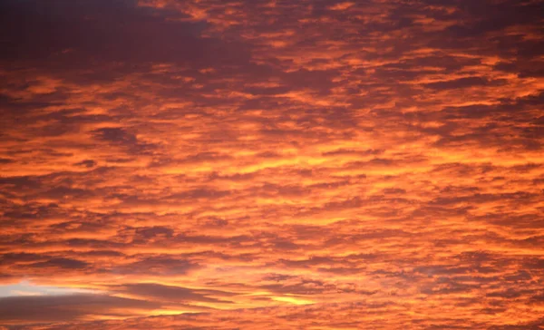 Bright Colorful Sunset Sky Vivid Smooth Clouds Illuminated Setting Sun — Fotografia de Stock