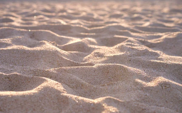 Крупним Планом Чиста Жовта Поверхня Піску Покриває Приморський Пляж Освітлений — стокове фото