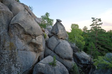 Yazın güneşli bir günde büyüyen ağaçlarla yüksek dağlarda devasa kaya oluşumları..
