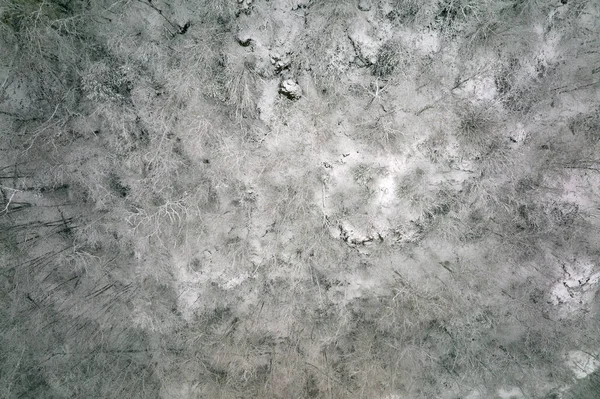 Повітряний Туманний Пейзаж Вічнозеленими Сосновими Деревами Вкритими Свіжим Осіннім Снігом — стокове фото