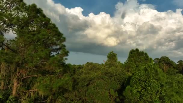 在城郊地区的暴雨前 乌云在阴暗的天空中形成 — 图库视频影像