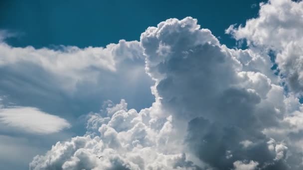 Beyaz Kabarık Kümülüs Bulutlarının Zamanı Yaz Mavi Gökyüzünde Şekilleniyor Hareket — Stok video
