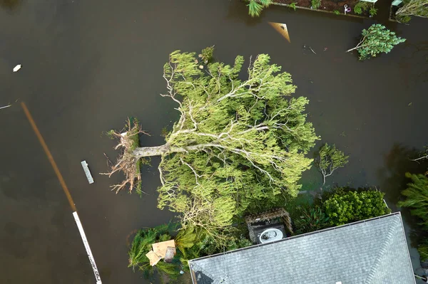 Hurricane Ian flooded house and fallen tree in Florida residential area. Natural disaster and its consequences.
