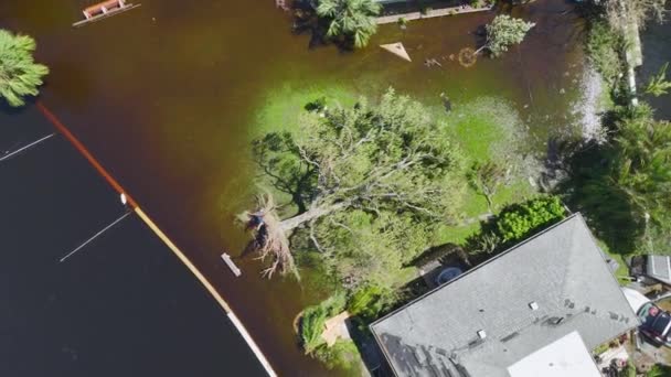 Τυφώνας Ίαν Πλημμύρισε Σπίτι Και Έπεσε Δέντρο Στην Κατοικημένη Περιοχή — Αρχείο Βίντεο