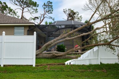 Büyük ağaçtan düşmek Florida 'daki Ian kasırgasından sonra bahçe çitlerinde hasara yol açtı. Doğal afetin sonuçları..