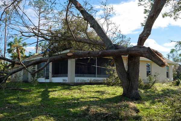 Fallen down big tree on a house after hurricane Ian in Florida. Consequences of natural disaster.