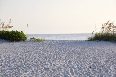 Seaside beach with small sand dunes and grassy vegetation on warm summer evening.