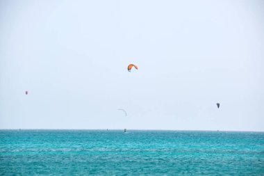 İnsanlar rüzgar sörfü ve uçurtma sörfü yapıyor mavi okyanus suyunda. Yaz aşırı egzotik spor konsepti.