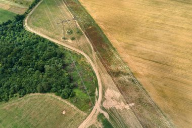 Parlak yaz gününde olgun buğday ve yeşil ormanlarla ekili sarı tarım arazilerinin havadan manzarası..