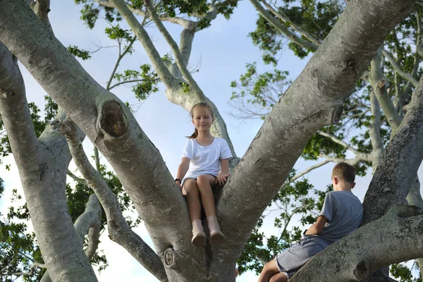 Young Pretty Child Girl Sitting Relaxed Big Branches Old Tree — Stockfoto