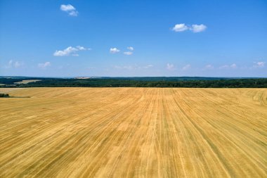 Buğday hasadından sonra kuru samanla ekilmiş sarı tarım arazisinin havadan manzarası.