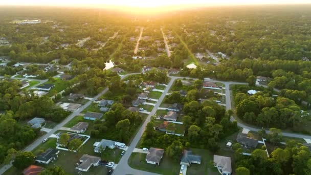 Luftaufnahme Von Vorort Privathäusern Zwischen Grünen Palmen Florida Ruhige Ländliche — Stockvideo