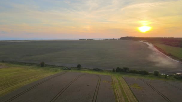 Aerial View Combine Harvester Working Harvesting Season Large Ripe Wheat — 图库视频影像