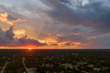 Florida 'daki yeşil palmiye ağaçları arasındaki banliyö özel evlerinin hava manzarası günbatımında sakin kırsal bölge.