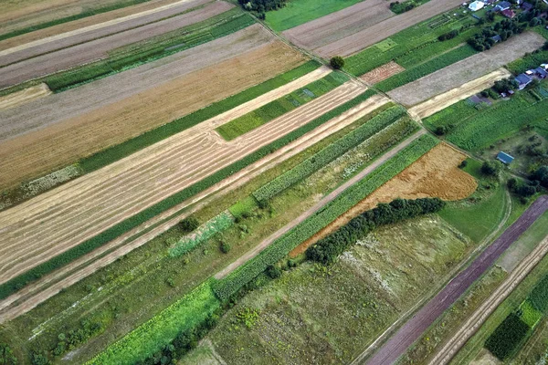 Veduta Aerea Del Paesaggio Dei Campi Agricoli Coltivati Verdi Gialli — Foto Stock