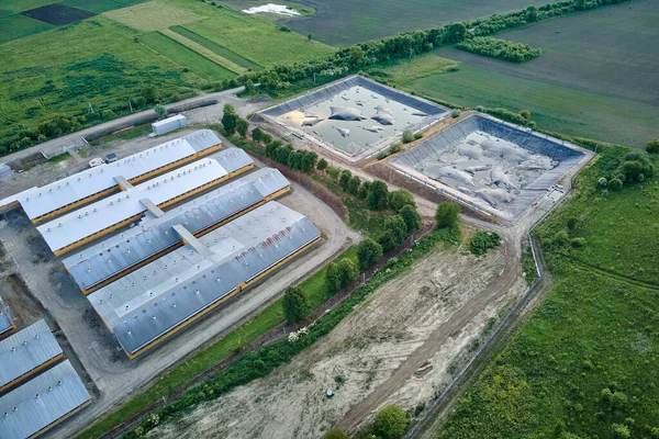 Luftaufnahme Von Rinderfarmgebäuden Zwischen Grünen Farmland — Stockfoto