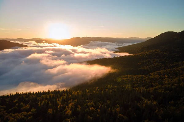 Luftaufnahme Des Nebligen Abends Über Dunklen Kiefernwäldern Bei Hellem Sonnenuntergang — Stockfoto