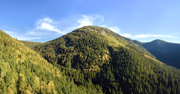 Vysoké Kopce Tmavými Borovými Lesy Jasného Podzimního Dne Úžasná Scenérie — Stock fotografie