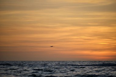 Gün batımında, yumuşak deniz suyuyla dramatik kırmızı okyanus dalgaları üzerinde uçan pelikan kuşu..