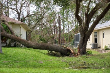 Florida 'daki Ian kasırgasından sonra kiremitleri eksik olan hasarlı bir çatı. Doğal afetin sonuçları.