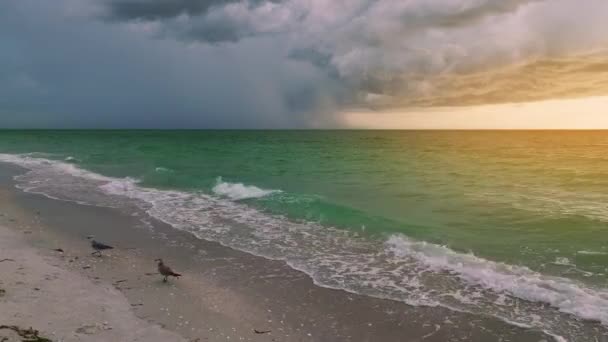 Tmavé Počasí Přední Mraky Tvořící Bouřlivé Obloze Během Období Silných — Stock video