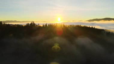 Karanlık, kasvetli çam ağaçlarının tepesinden, ladin sisli ormanında, sonbahar dağlarında, parlak gündoğumu ışınlarıyla parlayan.