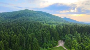 Dağ tepelerini kaplayan koyu ladin ağaçlı yeşil çam ormanlarının havadan görünüşü. Yukarıdan orman manzarası yok.