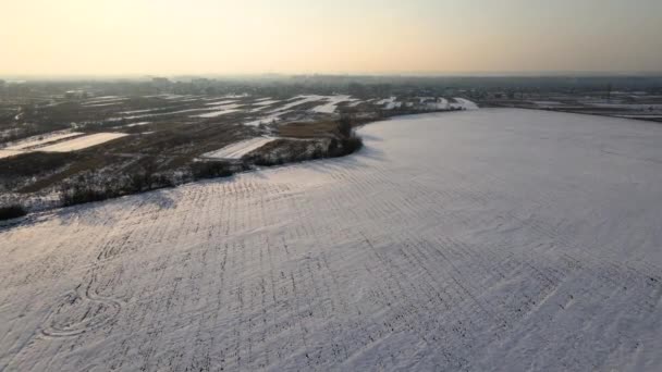 Vista Aérea Campos Agrícolas Cubiertos Nieve Con Superficie Estéril Invierno — Vídeo de stock