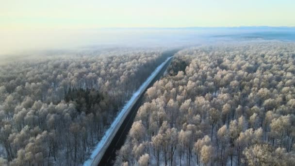 雪に覆われた森と寒い冬の日に黒いアスファルトの森の道路と冬の風景の空中ビュー — ストック動画