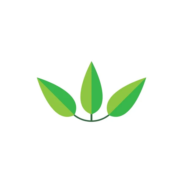 Feuille Logo Vectoriel Illustration Modèle Design — Image vectorielle