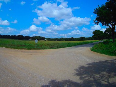 Ağaçlarla ve mavi gökyüzüyle güzel bir manzara.