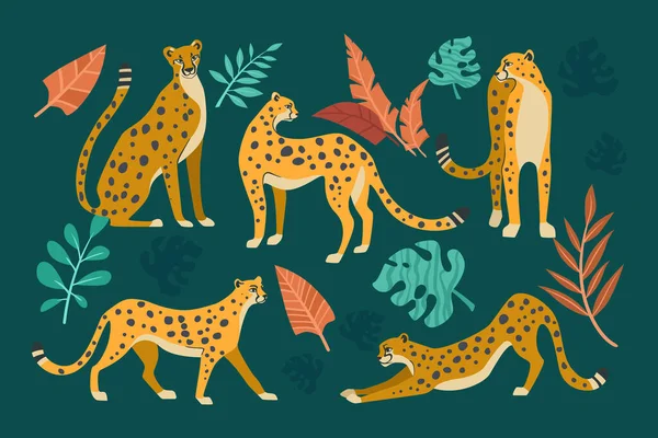 Cheetahs in different poses cartoon illustration set. Seamless pattern with leopards or jaguars with tropical leaves and plants isolated on dark green background. Wild animal, cat, jungle concept
