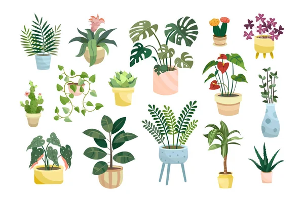 Différentes Plantes Intérieur Pot Ensemble Illustrations Vectorielles Plates Fleurs Plantes — Image vectorielle