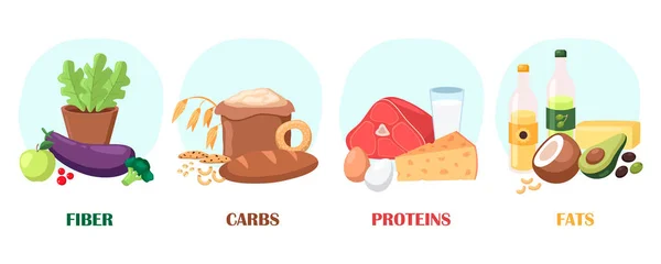 Fuentes Fibra Carbohidratos Proteínas Ilustraciones Vectores Grasas Conjunto Diferentes Categorías — Archivo Imágenes Vectoriales