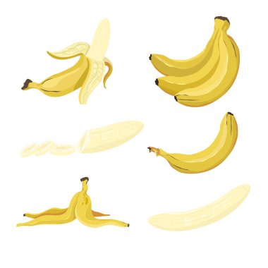 Sarı muz vektör çizimi. Tropikal meyve, egzotik bitki, sağlıklı doğal tatlı, beyaz arka planda soyulmuş ve soyulmamış olgun muzlar. Yiyecek, doğa konsepti