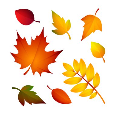 Parlak sonbahar yaprakları. Farklı ağaçların renkli yaprakları. Sonbahar, bitki, doğa gibi konular için kullanılabilir. 
