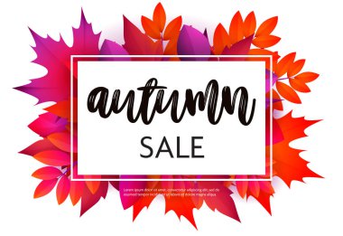 Mor ve kırmızı yapraklı sonbahar el ilanı tasarımı. Çerçevede beyaz kart ve bir sürü yaprak var. Vektör illüstrasyonu pankartlar, posterler, reklamlar, tanıtımlar için kullanılabilir