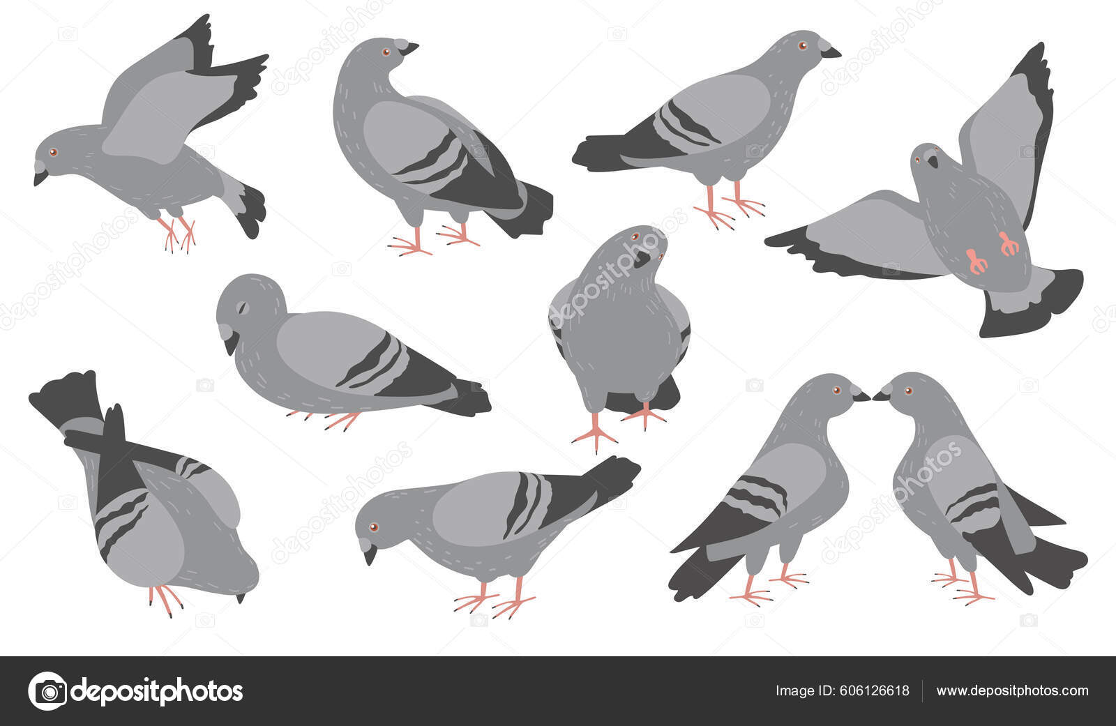 Paloma Urbana Vector Art Stock Images ページ 3 Depositphotos